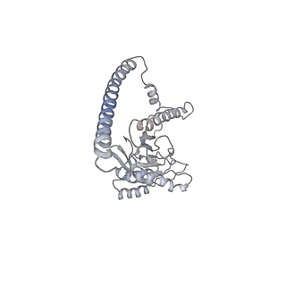 14205_7qxx_Z_v1-0
Proteasome-ZFAND5 Complex Z+E state