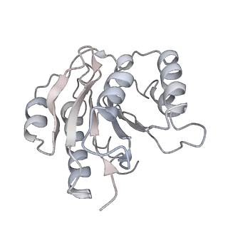 14205_7qxx_b_v1-0
Proteasome-ZFAND5 Complex Z+E state