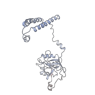 14205_7qxx_c_v1-0
Proteasome-ZFAND5 Complex Z+E state