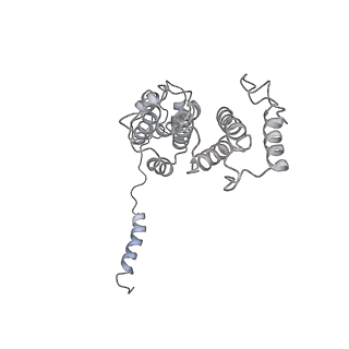 14205_7qxx_d_v1-0
Proteasome-ZFAND5 Complex Z+E state