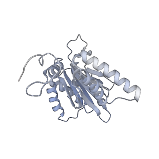 14205_7qxx_g_v1-0
Proteasome-ZFAND5 Complex Z+E state