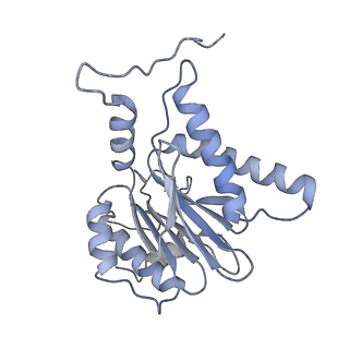 14205_7qxx_h_v1-0
Proteasome-ZFAND5 Complex Z+E state