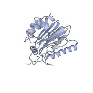 14205_7qxx_k_v1-0
Proteasome-ZFAND5 Complex Z+E state
