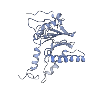 14205_7qxx_l_v1-0
Proteasome-ZFAND5 Complex Z+E state