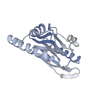 14205_7qxx_n_v1-0
Proteasome-ZFAND5 Complex Z+E state