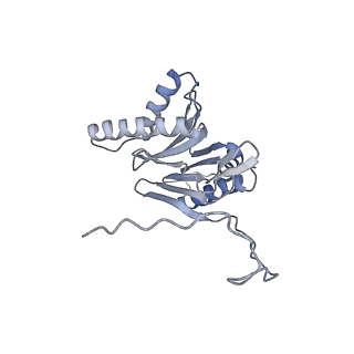 14205_7qxx_o_v1-0
Proteasome-ZFAND5 Complex Z+E state
