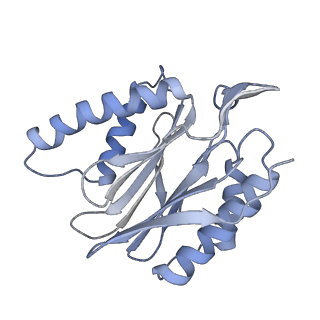 14205_7qxx_p_v1-0
Proteasome-ZFAND5 Complex Z+E state