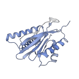 14205_7qxx_q_v1-0
Proteasome-ZFAND5 Complex Z+E state