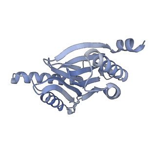 14205_7qxx_r_v1-0
Proteasome-ZFAND5 Complex Z+E state
