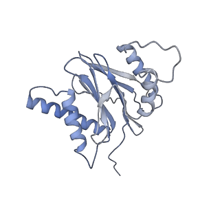 14205_7qxx_s_v1-0
Proteasome-ZFAND5 Complex Z+E state