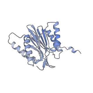 14205_7qxx_t_v1-0
Proteasome-ZFAND5 Complex Z+E state