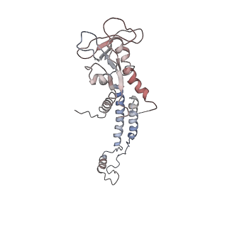 4662_6qx7_0a_v1-0
The cryo-EM structure of connector in bacteriophage phi29 prohead