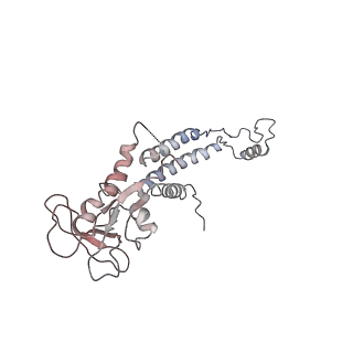 4662_6qx7_0i_v1-0
The cryo-EM structure of connector in bacteriophage phi29 prohead
