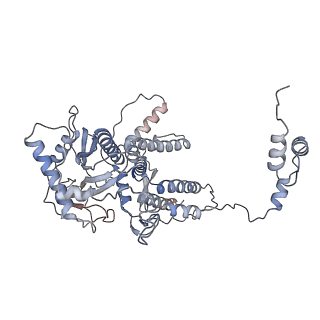 4663_6qx8_A_v1-4
Influenza A virus (A/NT/60/1968) polymerase dimer of heterotrimer in complex with 5' cRNA promoter