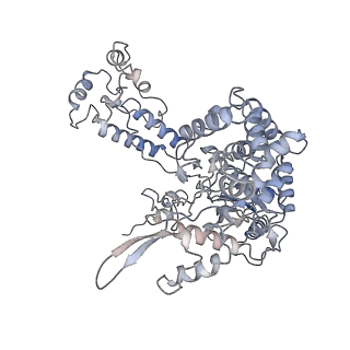 4663_6qx8_B_v1-4
Influenza A virus (A/NT/60/1968) polymerase dimer of heterotrimer in complex with 5' cRNA promoter