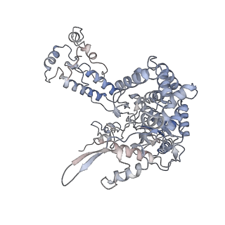 4663_6qx8_B_v2-0
Influenza A virus (A/NT/60/1968) polymerase dimer of heterotrimer in complex with 5' cRNA promoter