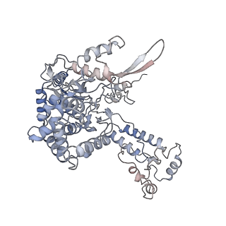 4663_6qx8_F_v1-4
Influenza A virus (A/NT/60/1968) polymerase dimer of heterotrimer in complex with 5' cRNA promoter