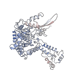 4663_6qx8_F_v2-0
Influenza A virus (A/NT/60/1968) polymerase dimer of heterotrimer in complex with 5' cRNA promoter