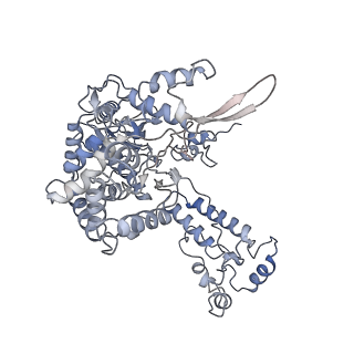 4666_6qxe_F_v1-2
Influenza A virus (A/NT/60/1968) polymerase dimer of hetermotrimer in complex with 3'5' cRNA promoter and Nb8205