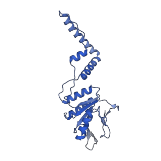 4668_6qxf_C_v1-2
Cas1-Cas2-Csn2-DNA complex from the Type II-A CRISPR-Cas system