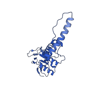 4668_6qxf_D_v1-2
Cas1-Cas2-Csn2-DNA complex from the Type II-A CRISPR-Cas system