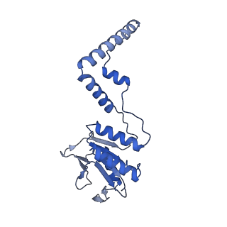 4668_6qxf_G_v1-2
Cas1-Cas2-Csn2-DNA complex from the Type II-A CRISPR-Cas system