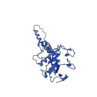 4668_6qxf_H_v1-2
Cas1-Cas2-Csn2-DNA complex from the Type II-A CRISPR-Cas system