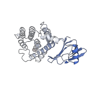 4668_6qxf_I_v1-2
Cas1-Cas2-Csn2-DNA complex from the Type II-A CRISPR-Cas system