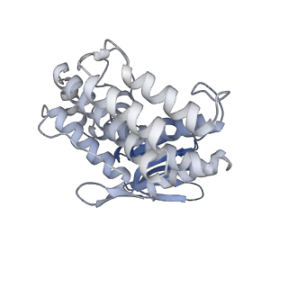 4668_6qxf_J_v1-2
Cas1-Cas2-Csn2-DNA complex from the Type II-A CRISPR-Cas system