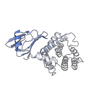 4668_6qxf_L_v1-2
Cas1-Cas2-Csn2-DNA complex from the Type II-A CRISPR-Cas system