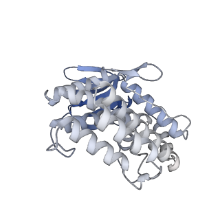 4668_6qxf_M_v1-2
Cas1-Cas2-Csn2-DNA complex from the Type II-A CRISPR-Cas system