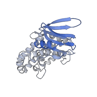 4668_6qxf_P_v1-2
Cas1-Cas2-Csn2-DNA complex from the Type II-A CRISPR-Cas system