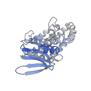 4668_6qxf_S_v1-2
Cas1-Cas2-Csn2-DNA complex from the Type II-A CRISPR-Cas system
