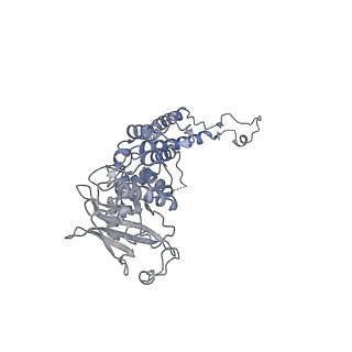 4669_6qxm_A_v1-1
Cryo-EM structure of T7 bacteriophage portal protein, 12mer, open valve