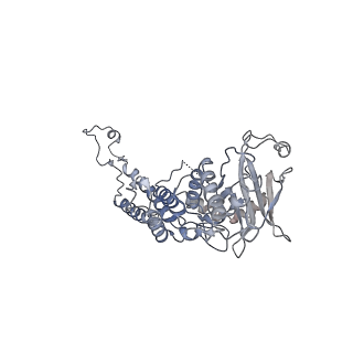 4669_6qxm_E_v1-1
Cryo-EM structure of T7 bacteriophage portal protein, 12mer, open valve