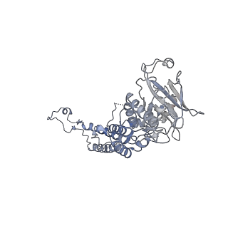 4669_6qxm_F_v1-1
Cryo-EM structure of T7 bacteriophage portal protein, 12mer, open valve