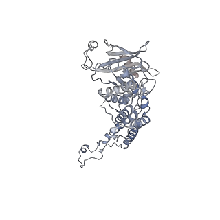 4669_6qxm_H_v1-1
Cryo-EM structure of T7 bacteriophage portal protein, 12mer, open valve