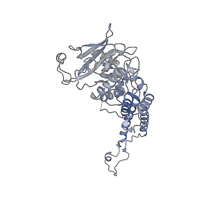 4669_6qxm_I_v1-1
Cryo-EM structure of T7 bacteriophage portal protein, 12mer, open valve