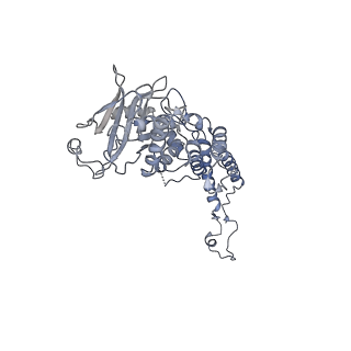 4669_6qxm_J_v1-1
Cryo-EM structure of T7 bacteriophage portal protein, 12mer, open valve