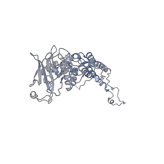 4669_6qxm_K_v1-1
Cryo-EM structure of T7 bacteriophage portal protein, 12mer, open valve