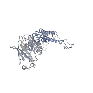 4669_6qxm_L_v1-1
Cryo-EM structure of T7 bacteriophage portal protein, 12mer, open valve