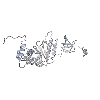 14209_7qy7_A_v1-0
Proteasome-ZFAND5 Complex Z-A state