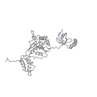 14209_7qy7_F_v1-0
Proteasome-ZFAND5 Complex Z-A state