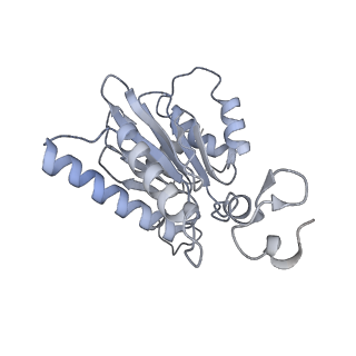 14209_7qy7_G_v1-0
Proteasome-ZFAND5 Complex Z-A state