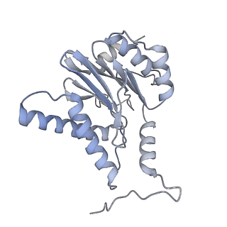 14209_7qy7_H_v1-0
Proteasome-ZFAND5 Complex Z-A state