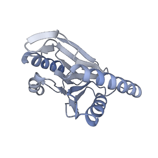 14209_7qy7_N_v1-0
Proteasome-ZFAND5 Complex Z-A state