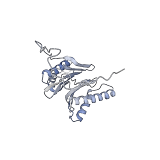 14209_7qy7_O_v1-0
Proteasome-ZFAND5 Complex Z-A state