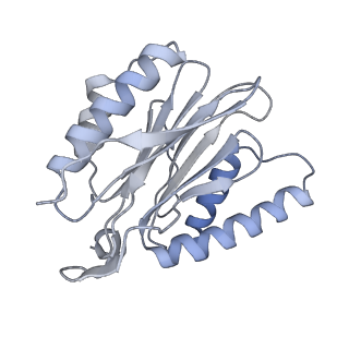 14209_7qy7_P_v1-0
Proteasome-ZFAND5 Complex Z-A state