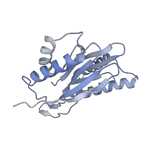 14209_7qy7_Q_v1-0
Proteasome-ZFAND5 Complex Z-A state
