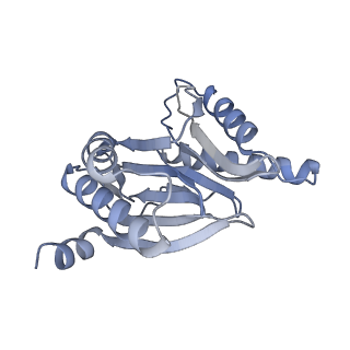 14209_7qy7_R_v1-0
Proteasome-ZFAND5 Complex Z-A state